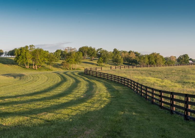 Pasture Fence Replacement